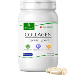 MoriVeda® BioCell Collagen®...