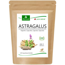 MoriVeda® Astragalus 20:1 Extrakt Kapseln - Astragalus membranaceus 90 Stück